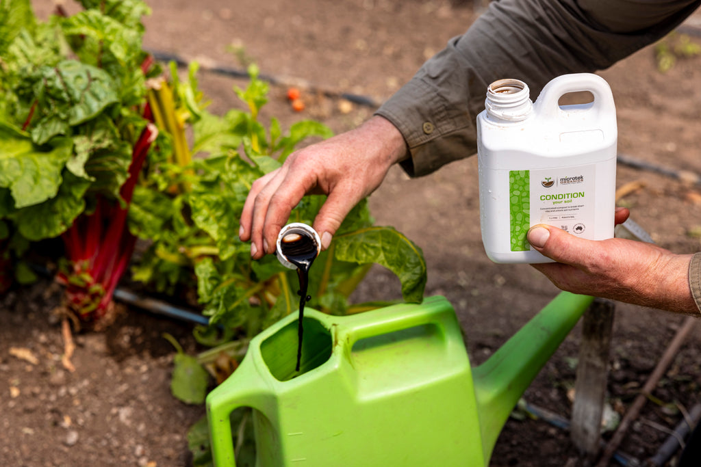 CONDITION YOUR SOIL
