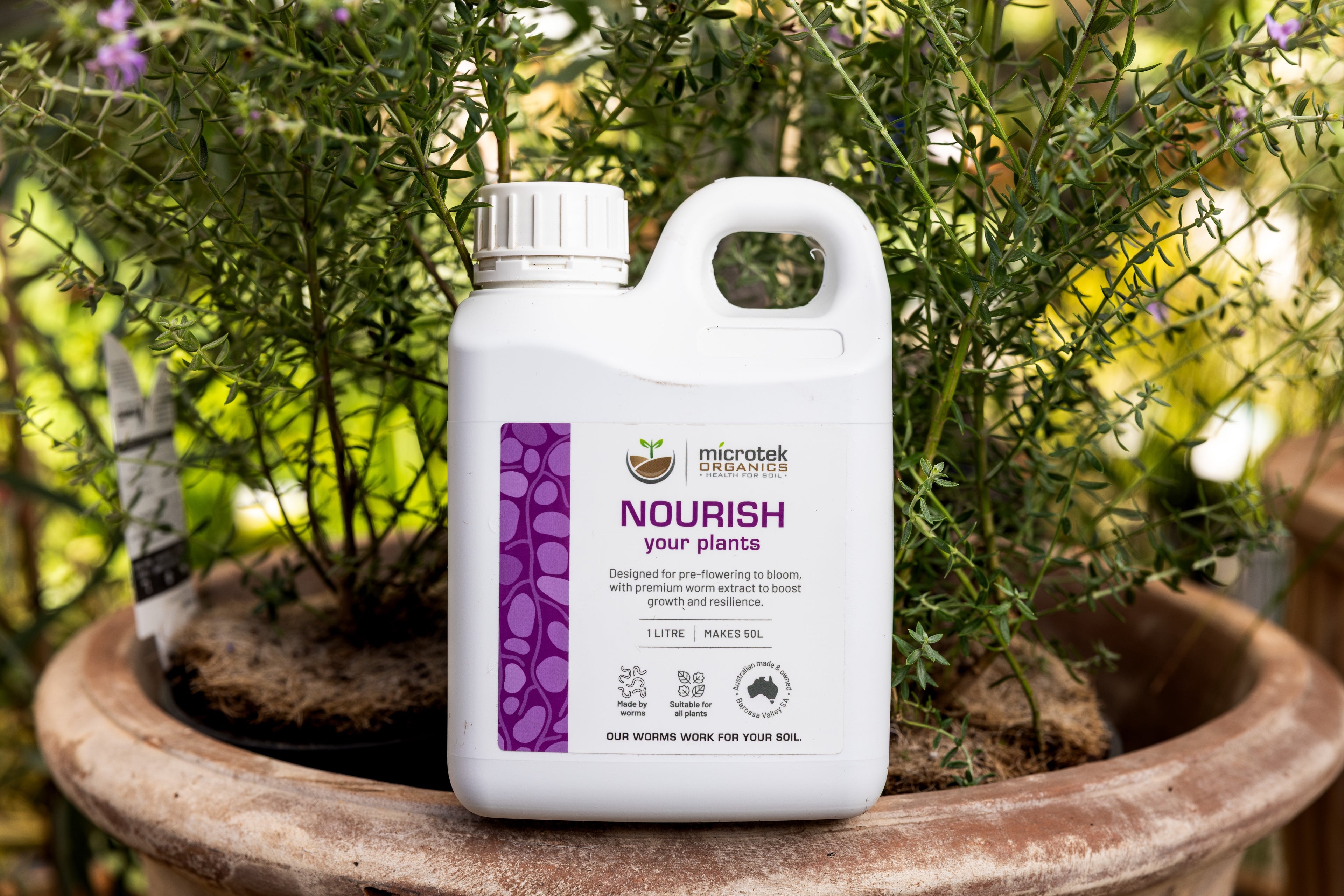 NOURISH YOUR PLANTS